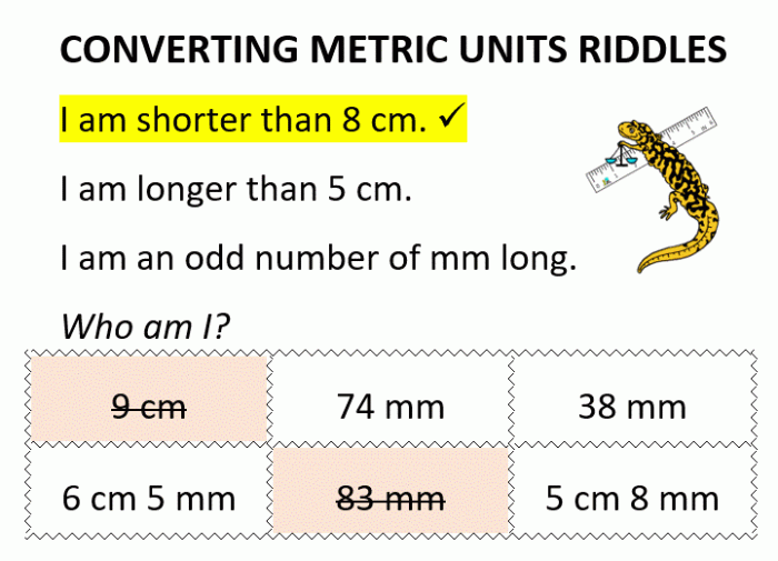 Conquer the maze of metric units with this engaging worksheet for fifth and sixth graders
