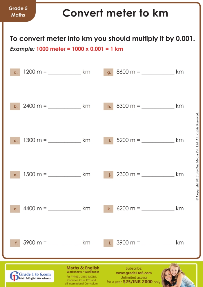 Metric Units Place Value Chart for Meters worksheet designed for fifth graders