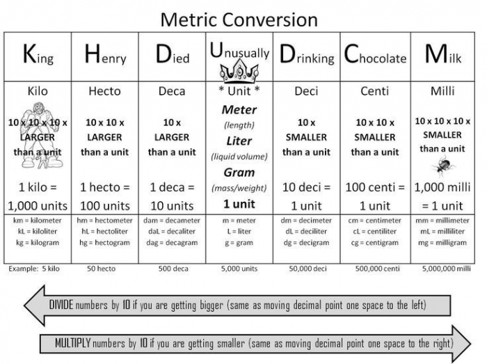 Metric Units Place Value Chart worksheet for fifth graders focusing on meters