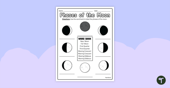 Drawing the Phases of the Moon worksheet for fifth-grade students