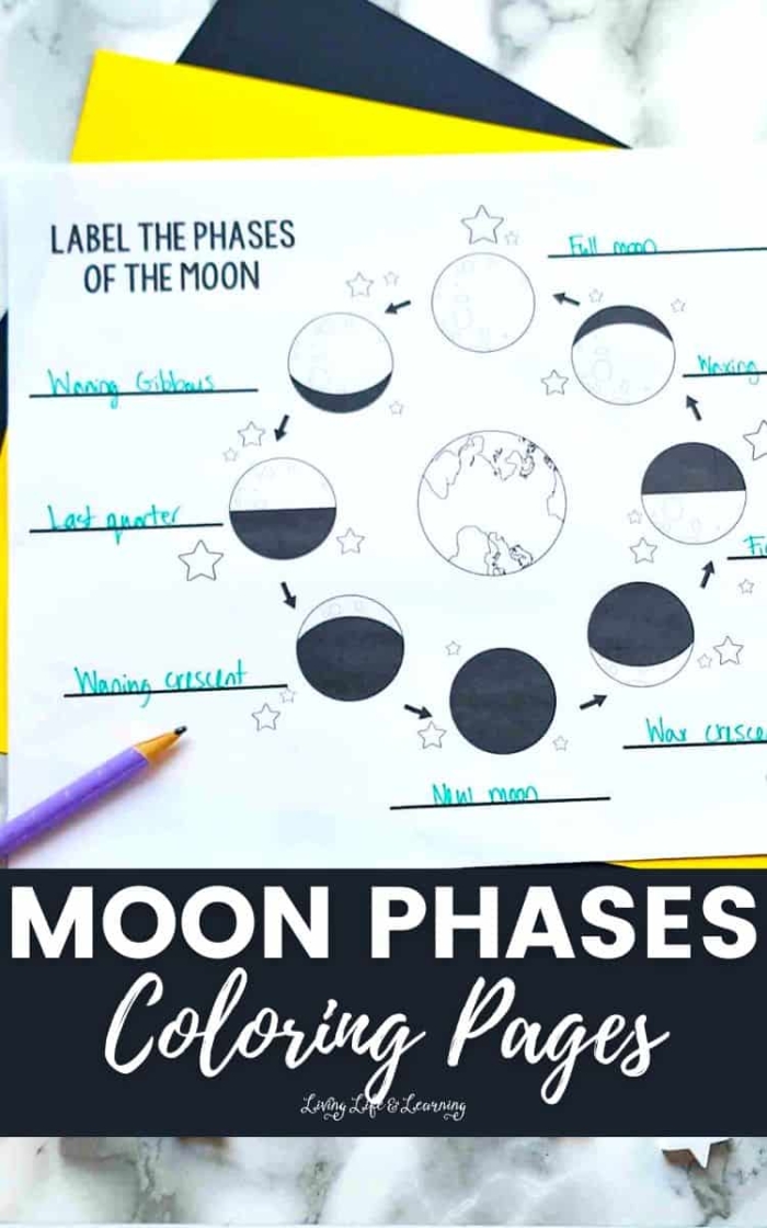 Worksheet featuring the phases of the moon for fifth-grade students