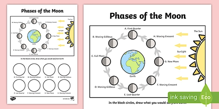 Worksheet for fifth graders illustrating the phases of the moon