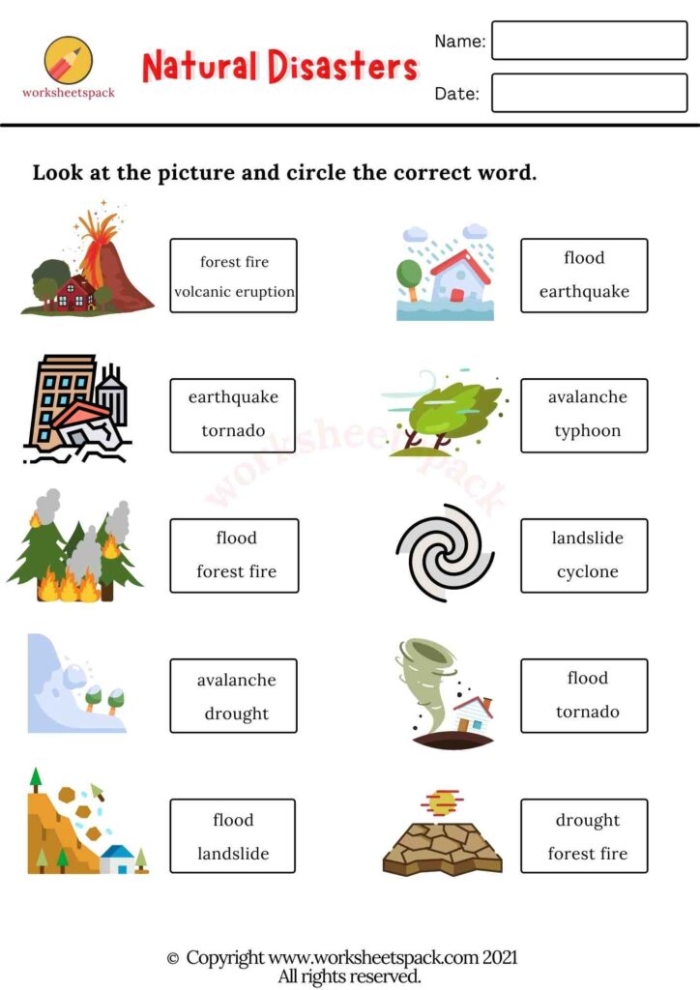 Causes and Effects of Natural Disasters educational worksheet image 9 Worksheet featuring causes and effects of natural disasters for fifth graders