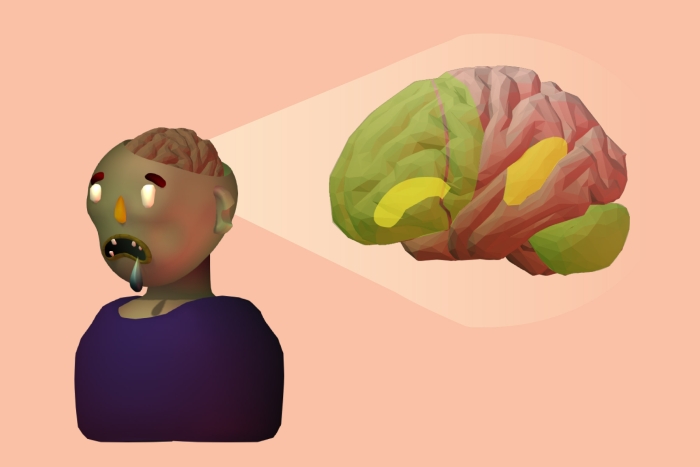 Fifth grade science worksheet titled Parts of the Brain Why Do Zombies Love Brains featuring fun anatomical diagrams