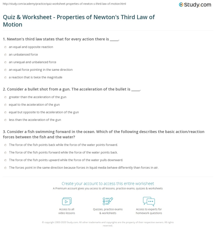 Vocabulary worksheet for Fifth Grade A fifth-grade worksheet illustrating Newton's Third Law of Motion with examples. Worksheet focused on vocabulary related to forces and motion.
