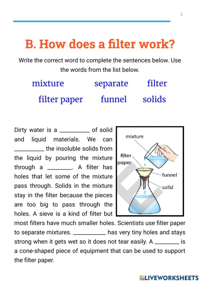 Kidney and intestines worksheet for fifth graders to match organ functions