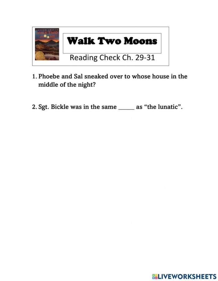 Fifth grade grammar worksheet showing point of view and perspective practice exercises based on Walk Two Moons by Sharon Creech