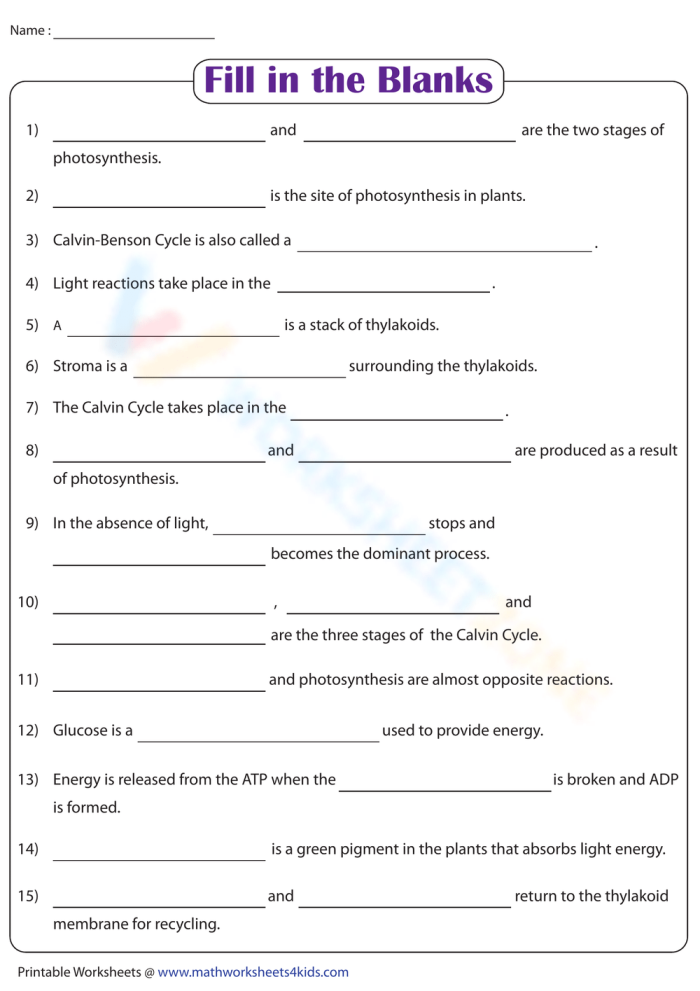 Fifth grade science student completing a photosynthesis fill-in-the-blank worksheet for life science review