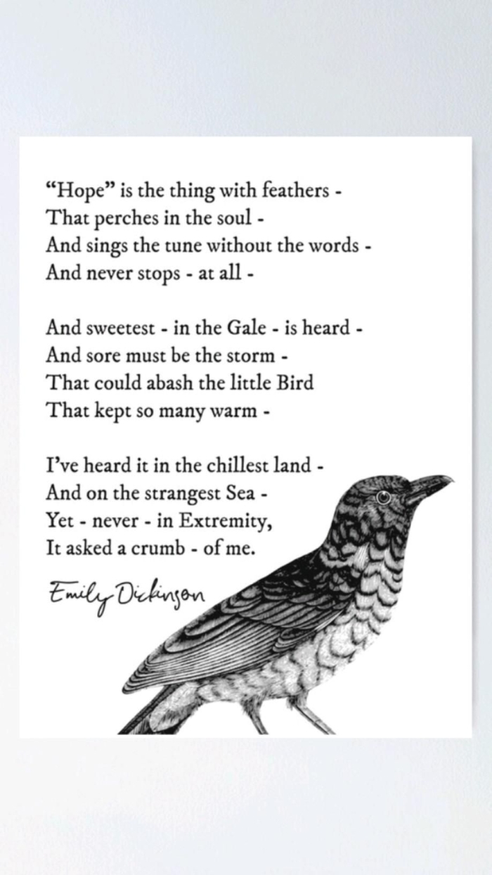 Fifth grade Spanish worksheet featuring a poetry analysis activity for Hope is the thing with feathers by Emily Dickinson