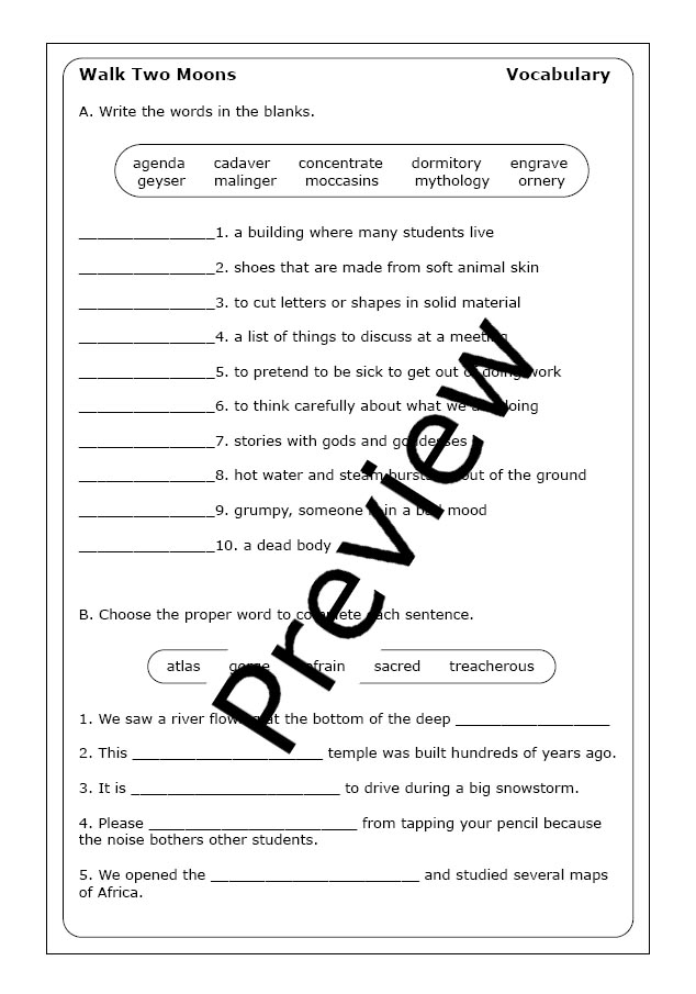 Fifth grade grammar worksheet featuring a passage from Walk Two Moons for practicing point of view and perspective analysis skills