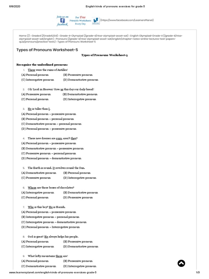 All Kinds of Pronouns: Engaging practice for fifth graders Practice worksheet for identifying various pronouns including indefinite, possessive, and relative types