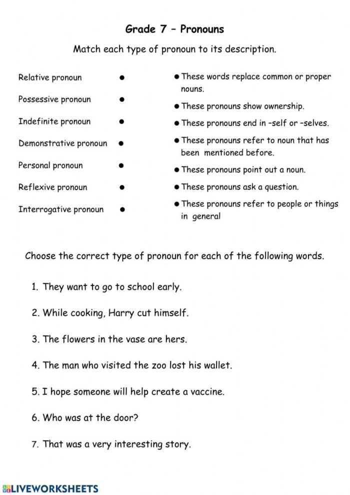 All Kinds of Pronouns Practice Worksheet for Grade 5 Worksheet for practicing indefinite, possessive, and relative pronouns for fifth graders