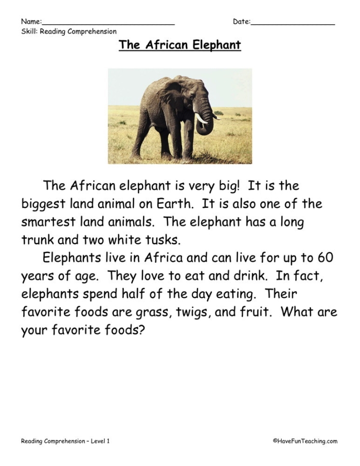 Reading comprehension activity featuring The Story of a Stuffed Elephant for geometry lessons Stuffed elephant worksheet designed for fifth graders to enhance reading comprehension skills