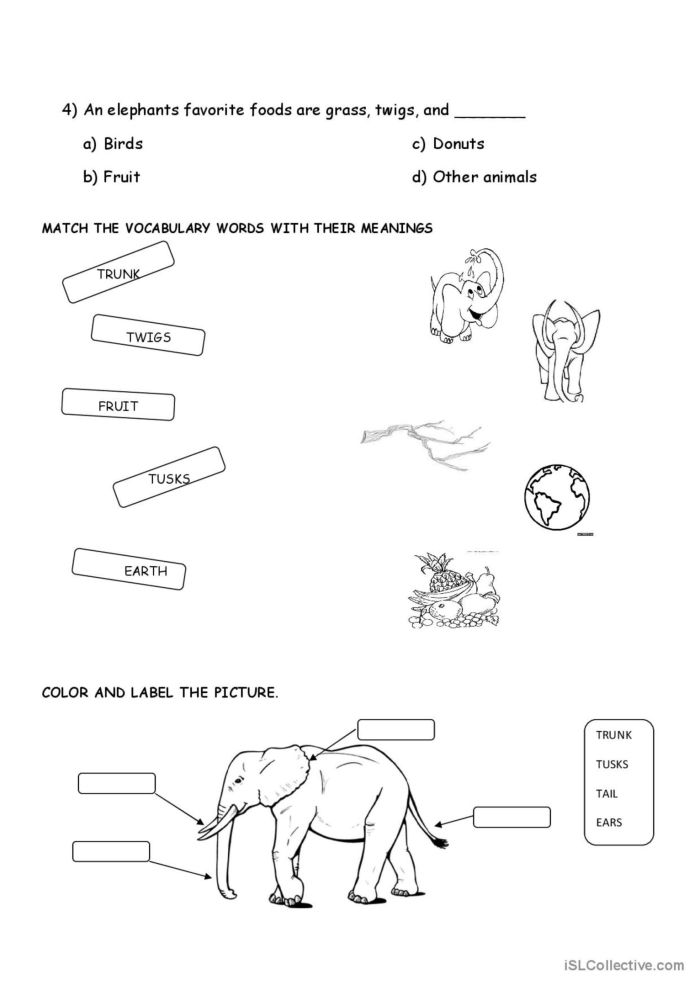 Reading Comprehension worksheet based on The Story of a Stuffed Elephant for fifth grade students Worksheet featuring a stuffed elephant to enhance fifth graders' reading comprehension skills