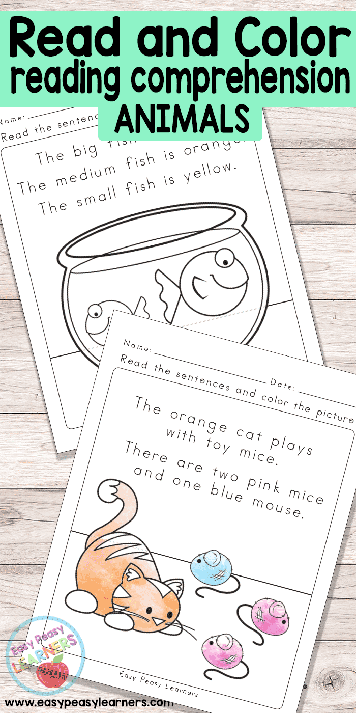 Engaging activity based on The Story of a Stuffed Elephant for geometry skills Reading comprehension worksheet featuring a stuffed elephant for fifth graders