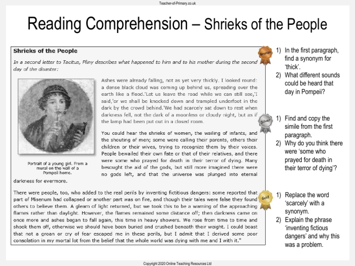 Interactive worksheet for fifth graders focused on extended reading comprehension strategies. Extended Reading Comprehension: Think Fast! worksheet for enhancing reading skills.