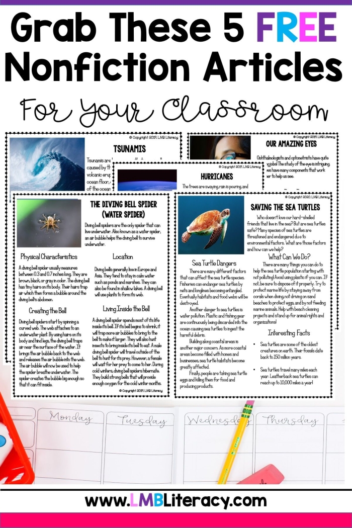 Worksheet displaying the topic of recycling with fractions for fifth graders