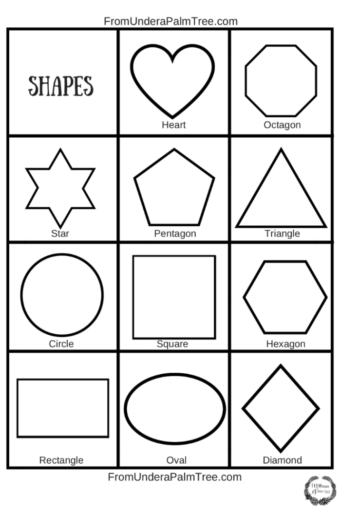 Categorize These Shapes! geometry worksheet for fifth grade math practice image 3 Fifth grade students classifying two-dimensional shapes like quadrilaterals and triangles on the Categorize These Shapes! worksheet