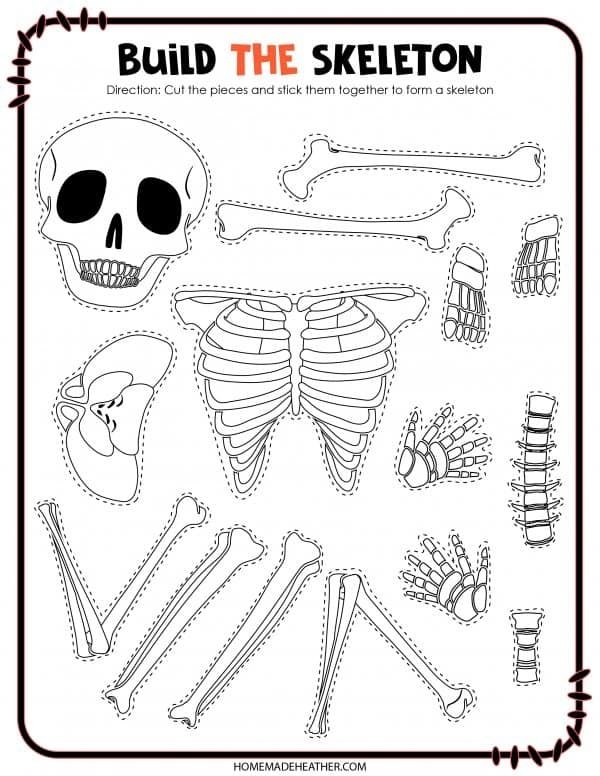 Fifth grade science worksheet displaying an educational diagram of the human skeletal system for study eight