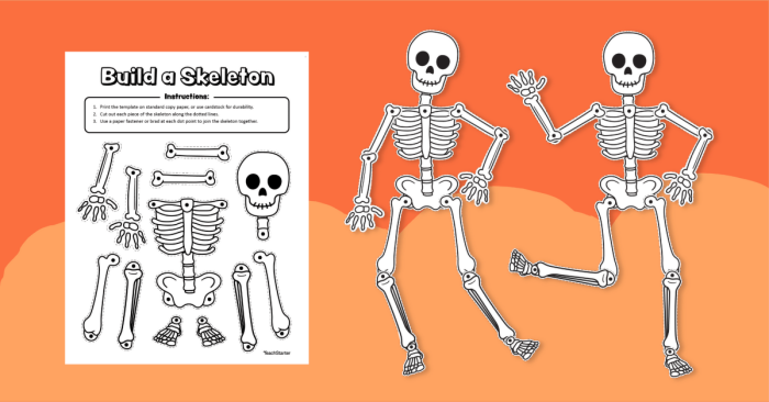 Diagram of a fill-in-the-blank skull for fifth graders to learn about the bone structure