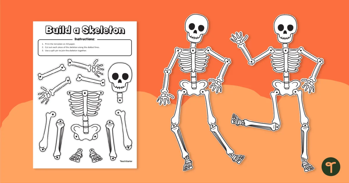 Fill-in-the-blank skull diagram for fifth graders to learn about the bone structure of the skull