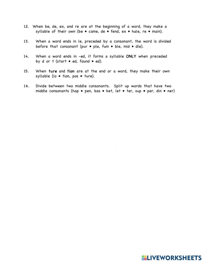 Syllable Division Assessment Activity for Elementary Learners Image 18 Fifth grade syllabication evaluation worksheet showing multisyllabic words with divided syllables for students to assess correctness