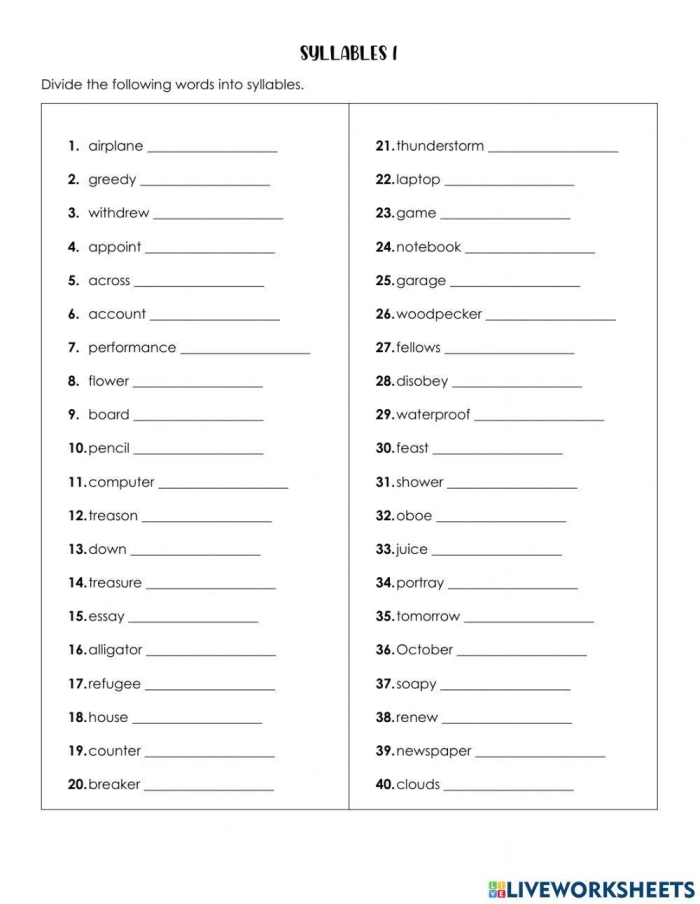 Educational resource for practicing syllable division in complex words Syllable Break-up worksheet for fifth graders focusing on word structure