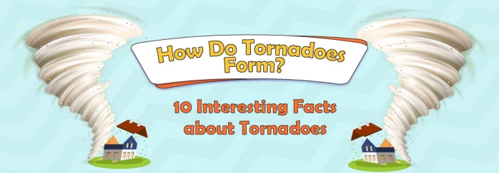 Educational worksheet on how tornadoes form for algebra and science learning Diagram illustrating the process of tornado formation for fifth-grade students
