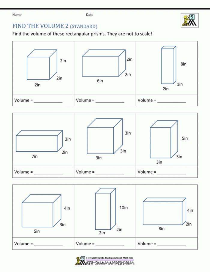 Base and Volume worksheet for fifth graders showing various objects to calculate volume using base and height