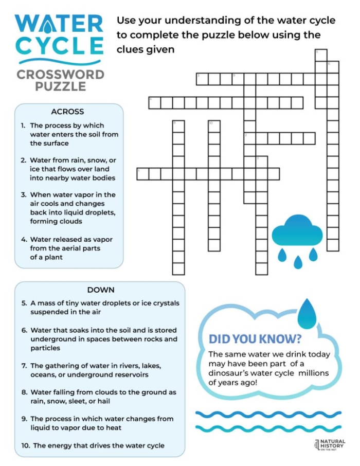 Fifth grade student completing a water cycle matching worksheet for science review