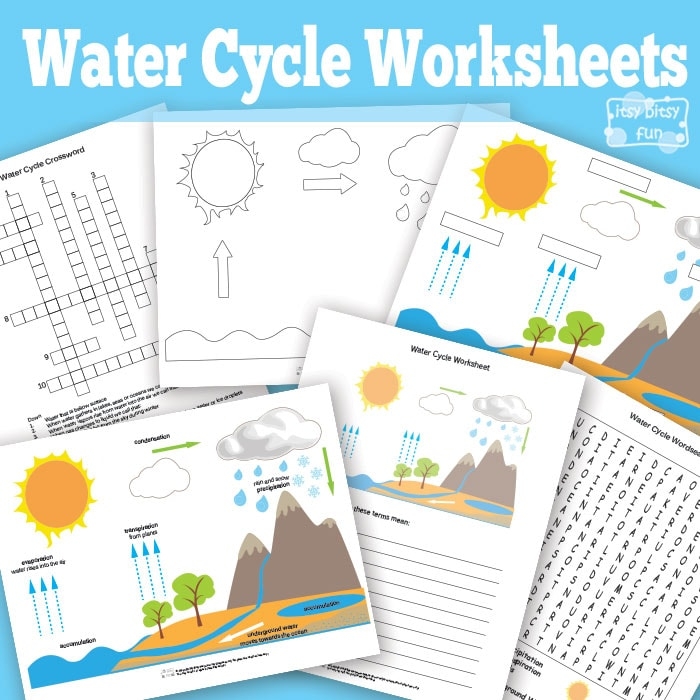 Fifth grade students coloring a detailed diagram of the water cycle to learn about weather patterns