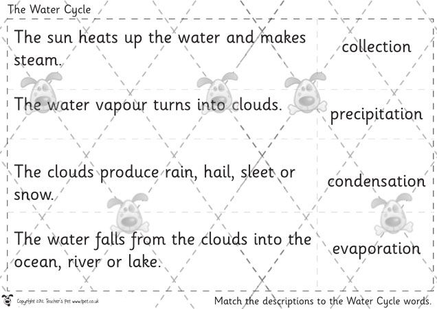 Water cycle matching worksheet designed for fifth-grade students to reinforce learning