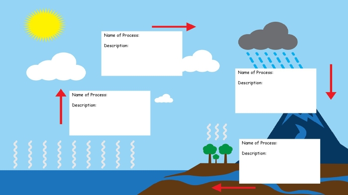 Water cycle matching worksheet for fifth grade science review