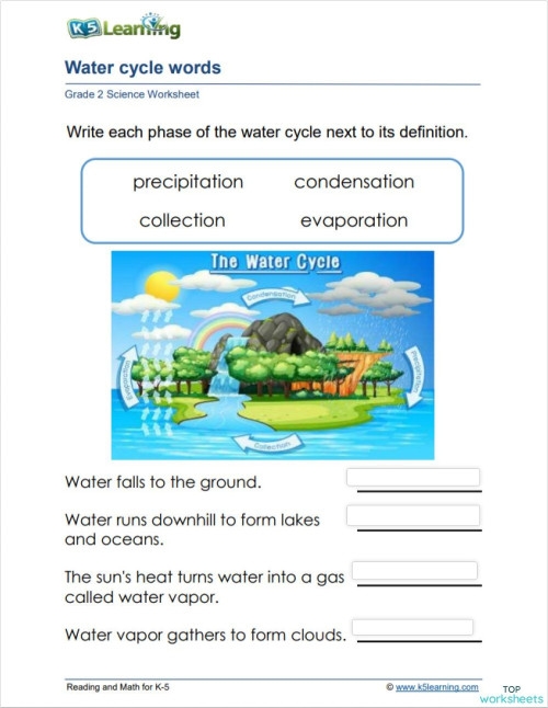 Water cycle matching worksheet for fifth graders, designed for test preparation and review. Engaging water cycle activity for 5th grade students to reinforce learning.