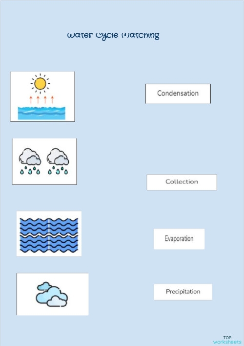 Fifth grade student completing a water cycle matching worksheet for science test review
