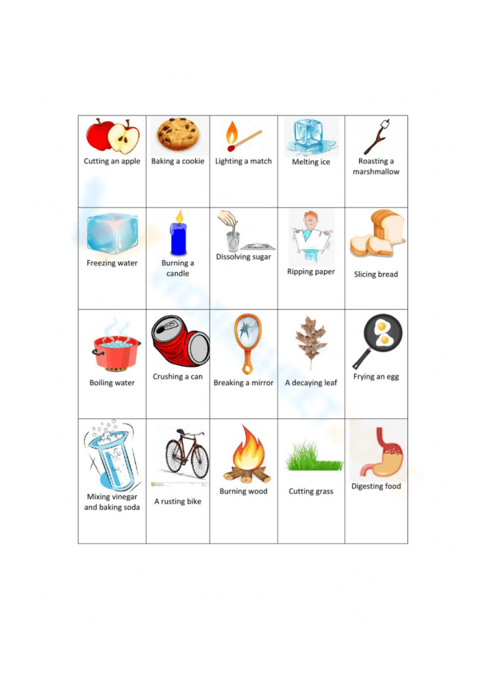 Educational resource for understanding the differences between physical and chemical changes in science Worksheet illustrating physical and chemical changes at the molecular level for fifth graders