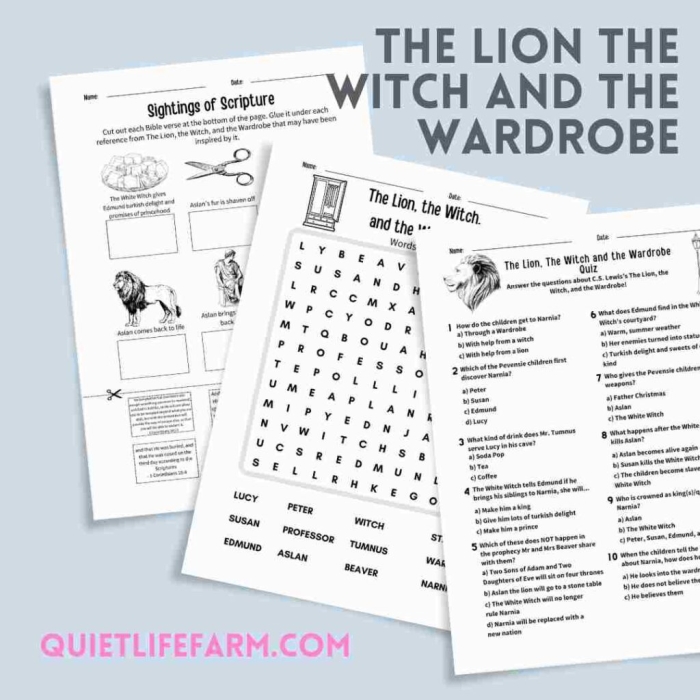 Sixth grade reading worksheet featuring figurative language analysis exercises based on The Lion the Witch and the Wardrobe