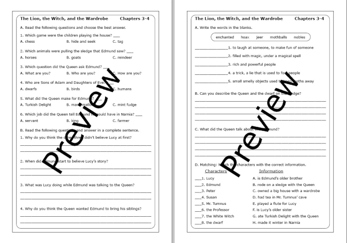Sixth grade student worksheet focusing on identifying figurative language within The Lion the Witch and the Wardrobe excerpt