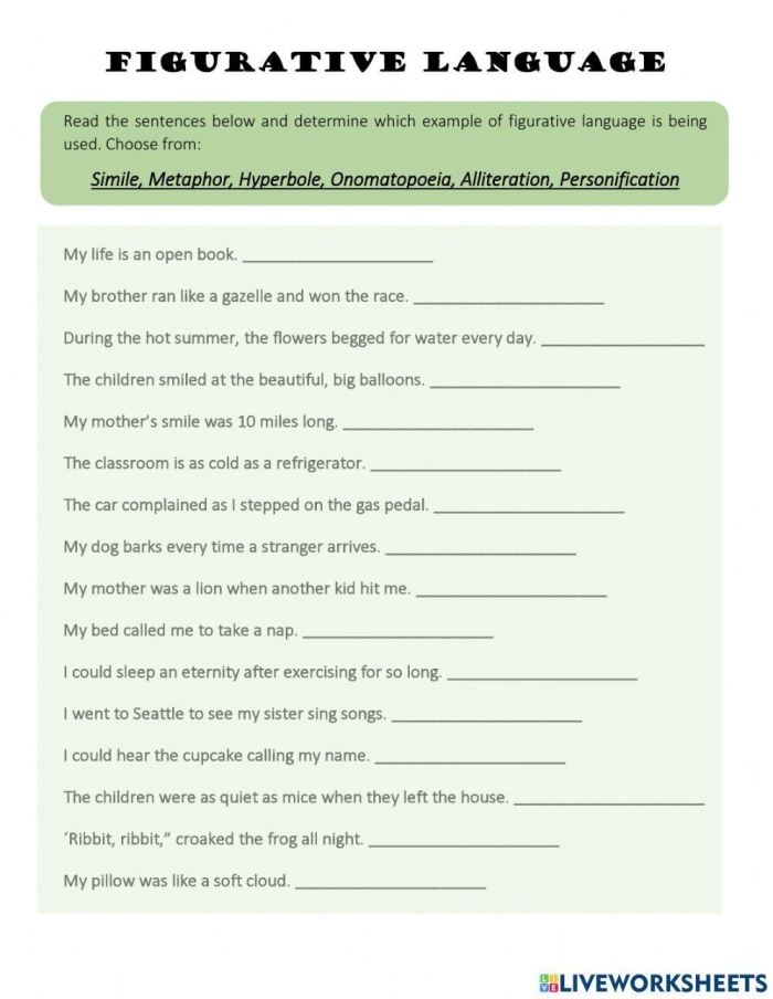 Colorful worksheet showcasing eight types of figurative language for fifth graders. Engaging exercise to help students understand figurative language concepts.