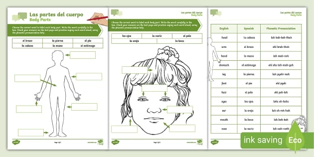 Body Parts in Spanish worksheet for fourth graders Worksheet for learning body parts in Spanish with fill-in-the-blanks activity