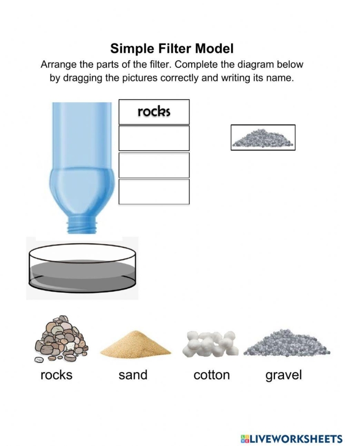 Filtration System worksheet for fifth graders featuring kidneys and intestines for matching activities