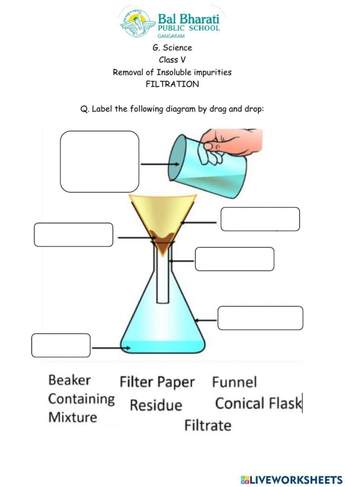 Fifth grade student cutting out and matching organ functions for a filtration system worksheet