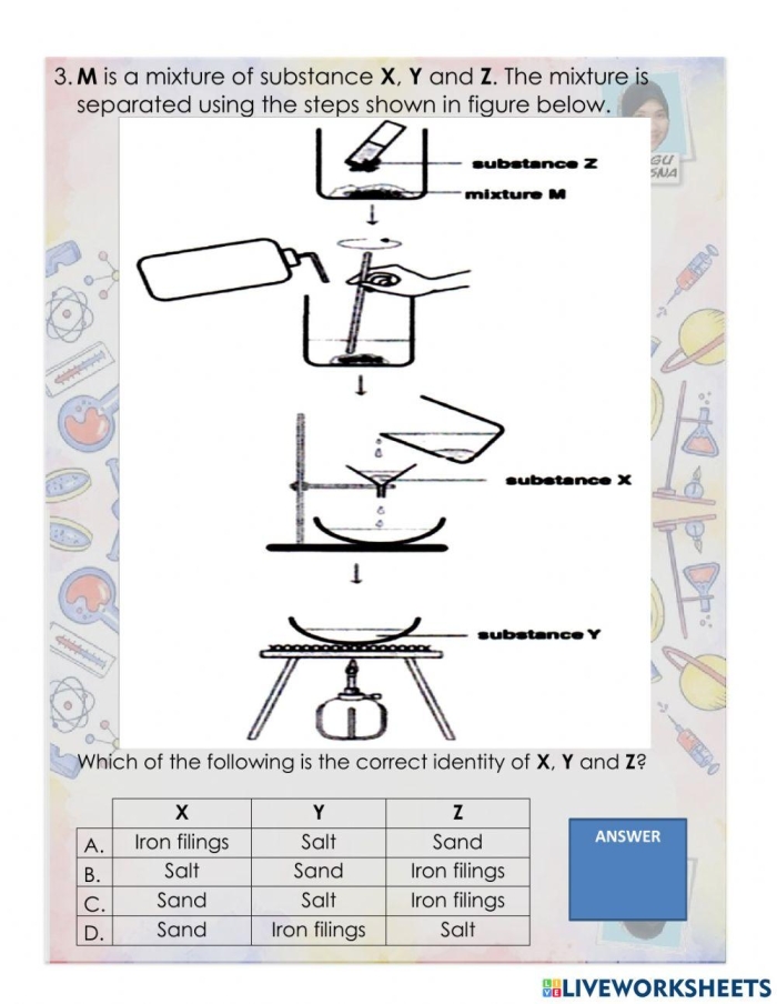 Fifth grade science student matching cut out functions to the kidneys and intestines on a filtration system worksheet