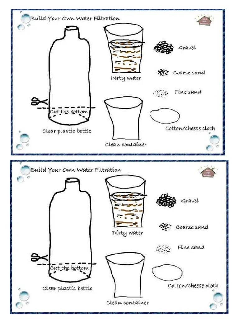 Fifth grade life science worksheet about matching organ functions in a filtration system
