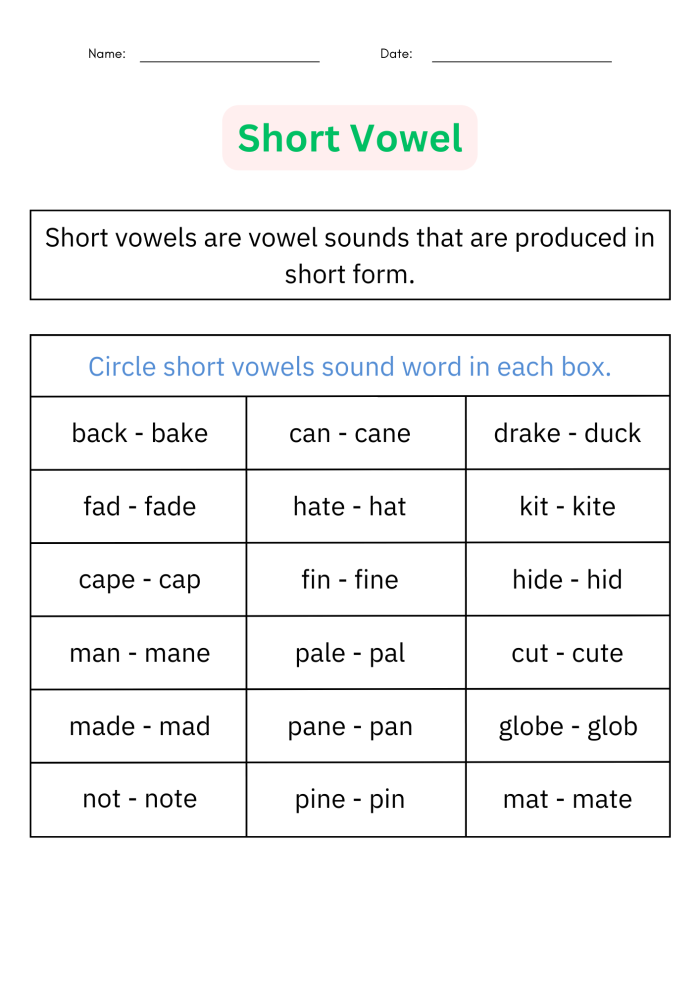 Worksheet focused on final /e/ vowel sound change for reading improvement Final /e/: Vowel Sound Change worksheet for third graders practicing reading and spelling