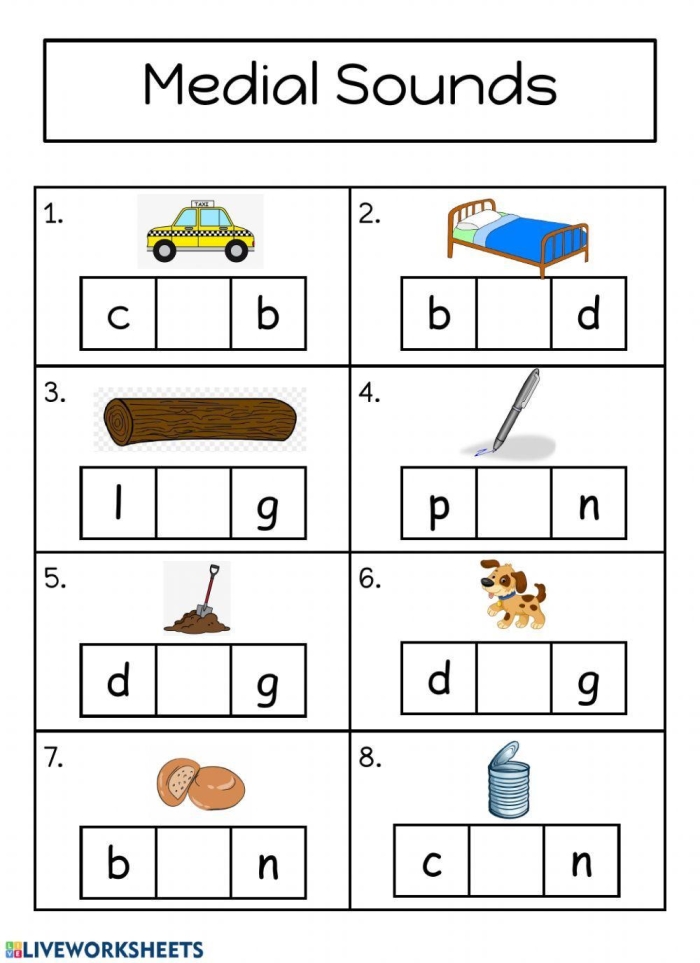 Final /e/ Vowel Sound Change Worksheet for Reading and Spelling Activities Worksheet featuring final /e/ vowel sound change practice for third graders
