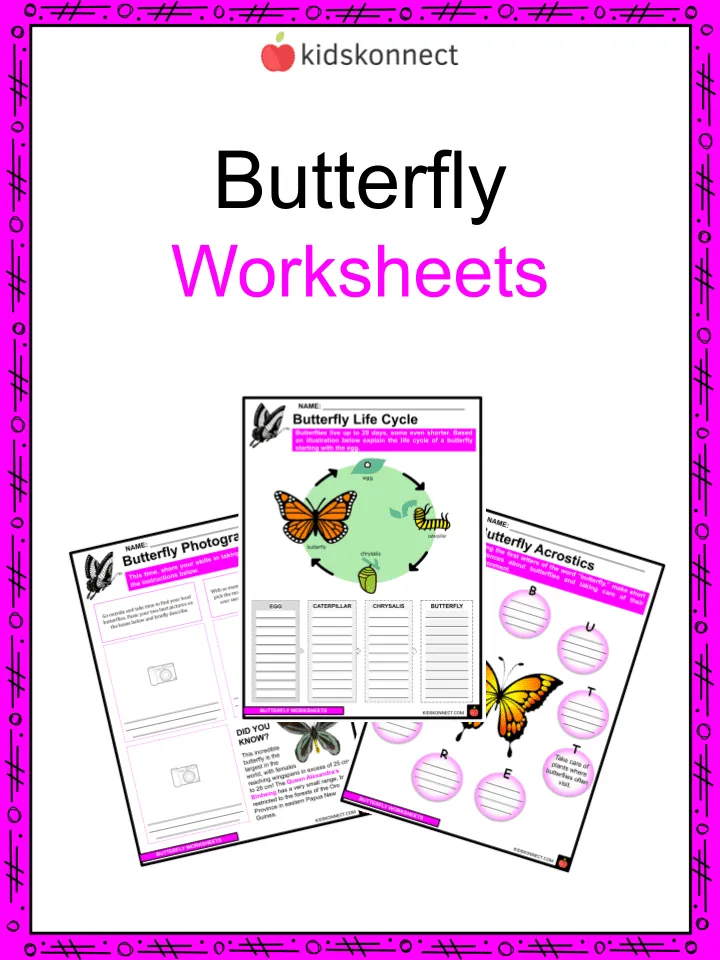Worksheet illustrating how butterflies evade predators for third graders