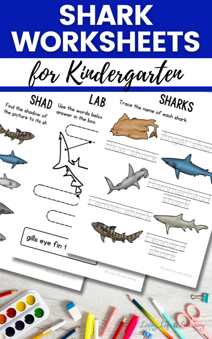 Third grade reading worksheet featuring a short informative passage about sharks to help students find the main idea