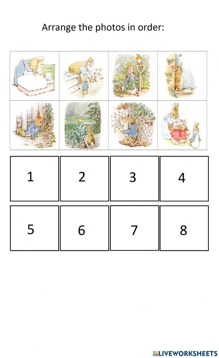 Comprehension activity featuring Peter Rabbit to enhance reading skills for fifth-grade students Worksheet for fifth graders focusing on finding the main idea in Peter Rabbit's story