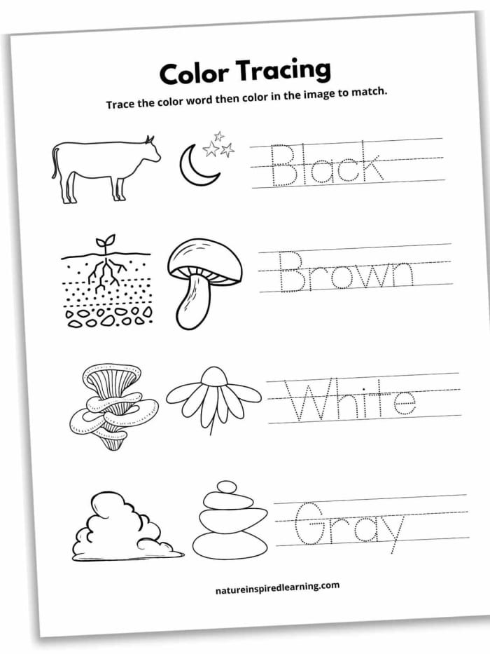 Worksheet for tracing and coloring various shapes designed for Pre-K children to enhance fine motor skills. Trace and Color Shapes activity for preschoolers focusing on geometry concepts.